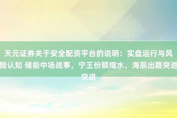 天元证券关于安全配资平台的说明：实盘运行与风险认知 储能中场战事，宁王份额缩水，海辰出路突进